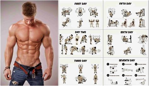 Maximize Muscle Growth After Workout .